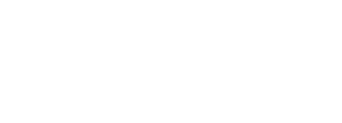 Carolina S Studio